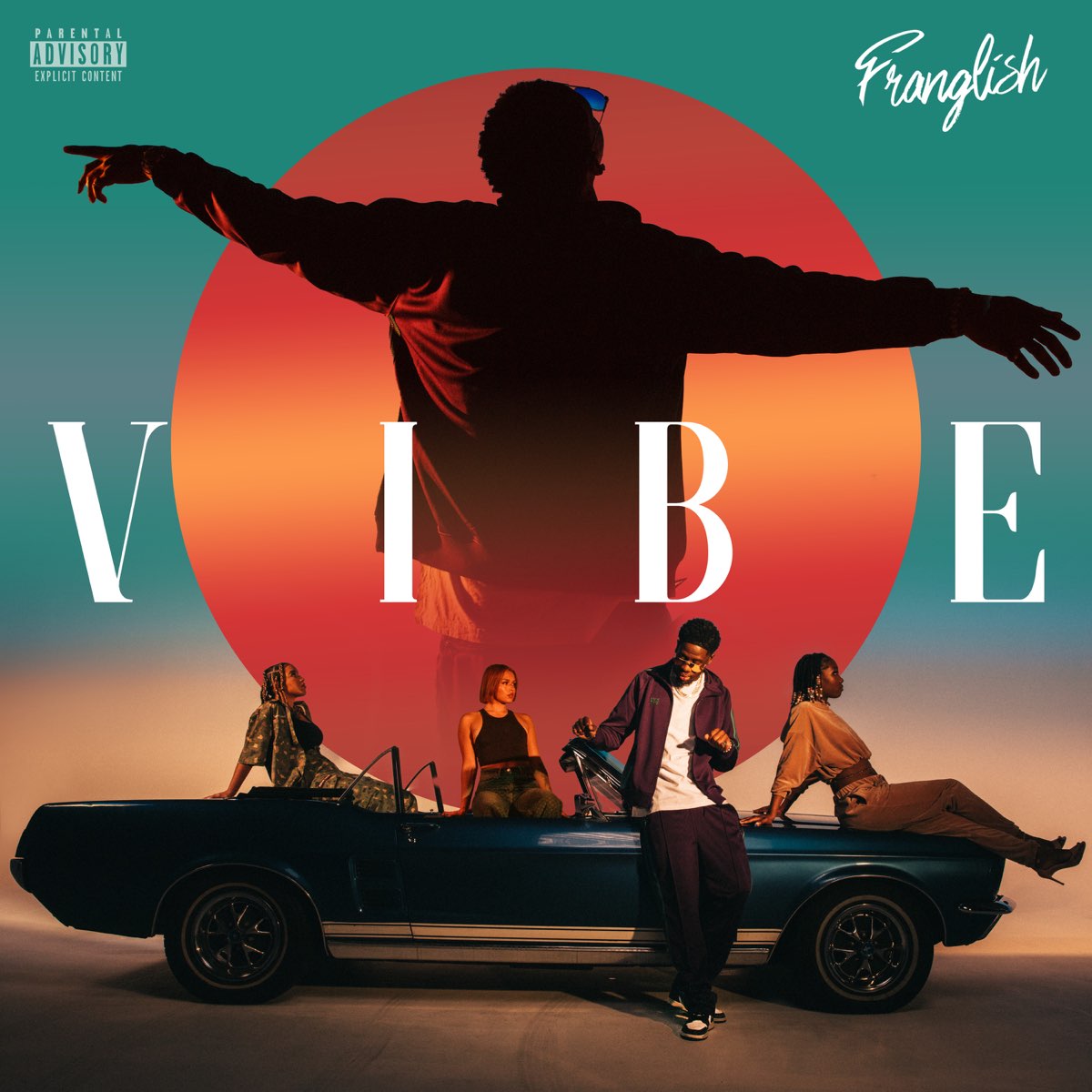 ‎Vibe (Video Album) by Franglish on Apple Music