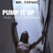 Pump It Up (feat. Robyn & Simson) artwork