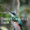 Digby - Darcey Cifuentes lyrics