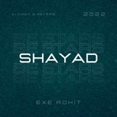 Shayad (Slowed & Reverb - Lofi) artwork