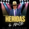 Heridas de Amor - Single