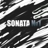 Sonata №1 - Single