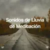 !!!" Sonidos De Lluvia De Meditación "!!! album lyrics, reviews, download