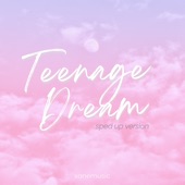Teenage Dream (Remix) artwork