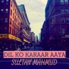 Dil Ko Karaar Aaya - Single