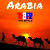 Arabia - Single album lyrics, reviews, download