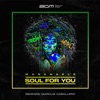 Soul for You - Single