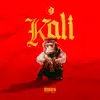 Kali - Single album lyrics, reviews, download