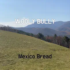 Wooly Bully - Single by Mexico Bread album reviews, ratings, credits