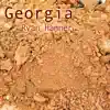 Georgia - Single album lyrics, reviews, download