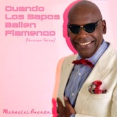 Cuando Los Sapos Bailen Flamenco (Version Salsa) artwork