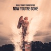 Now You're Gone - Single