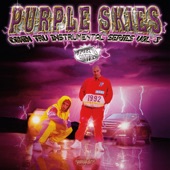 Purple Skies (Comin Tru Instrumental Series Vol. 3) artwork