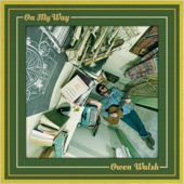 Owen Walsh - Well Well, Hey Hey, Bye Bye