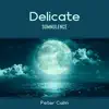 Delicate Somnolence album lyrics, reviews, download