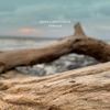 Driftwood - Single