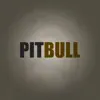 Stream & download Pitbull (feat. MC THAY RJ & MC Clevin)