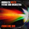 Dubmatix Meets Future Dub Orchestra