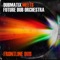 Frontline Dub - Dubmatix & Future Dub Orchestra lyrics