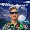 Denis Nuca - Wella, Wella