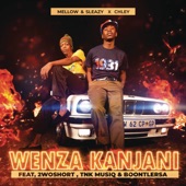 Wenza Kanjani (feat. 2woshort, TNK MusiQ & BoontleRSA) artwork