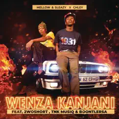 Wenza Kanjani (feat. 2woshort, TNK MusiQ & BoontleRSA) Song Lyrics