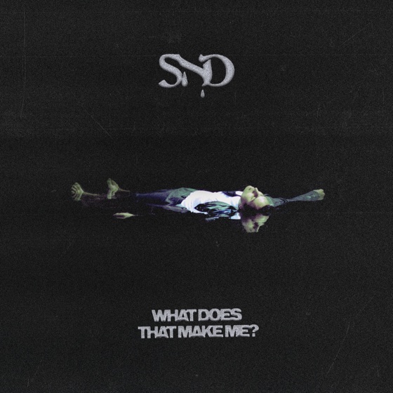 Cover artwork for What Does That Make Me?