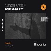Like You Mean It (feat. Katy Tiz) artwork