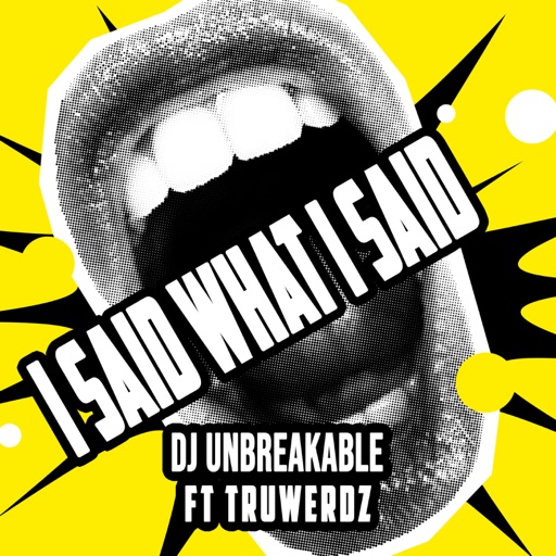 Art for I SAID WHAT I SAID (feat. TruWerdz) by DJ Unbreakable