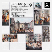 Symphony No. 9 in D Minor, Op. 125 "Choral": IV. (b) Presto - Recitativo - Allegro assai artwork