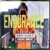 Endurance - Single album lyrics, reviews, download