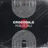 Stream & download Crocodile - Single