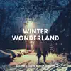 Stream & download Winter Wonderland - Single