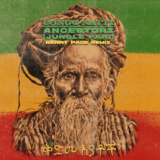 Ancestorz (Jungle Fari) [Benny Page Remixes] - Single by Congo Natty, Nia Archives