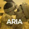 Aria (Oriental Balkan, Instrumental) - Single album lyrics, reviews, download