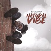 Natural Vibe - Single