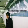Fine Art of Self Destruction (Anniversary Reissue) album lyrics, reviews, download
