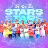 We Are the Stars artwork