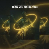 Trọn Vẹn Nghĩa Tình (Thái Hoàng Remix) artwork