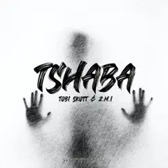 Tshaba (feat. 2.M.I) - Single by Tobi Skott album reviews, ratings, credits