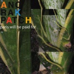 Anorak Patch - Paris Will Be Paid For