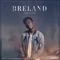 Cross Country (feat. Mickey Guyton) - BRELAND lyrics