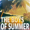 The Boys of Summer - Single