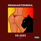 Reggaetonera artwork