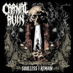 Carnal Ruin - Shrouds of Suffering