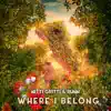 Stream & download Where I Belong - Single