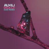 Diga-li! Dub Remix (Paolo Baldini DubFiles Version) artwork