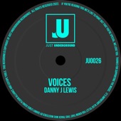 Voices (Radio Edit) artwork