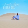 Ahmet Algün - Birak Gel
