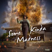 Some Kinda Madness (feat. Singer J) artwork